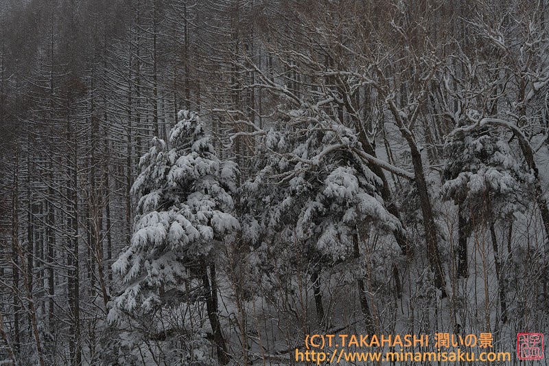 ../Images/7R250316 (206).jpg